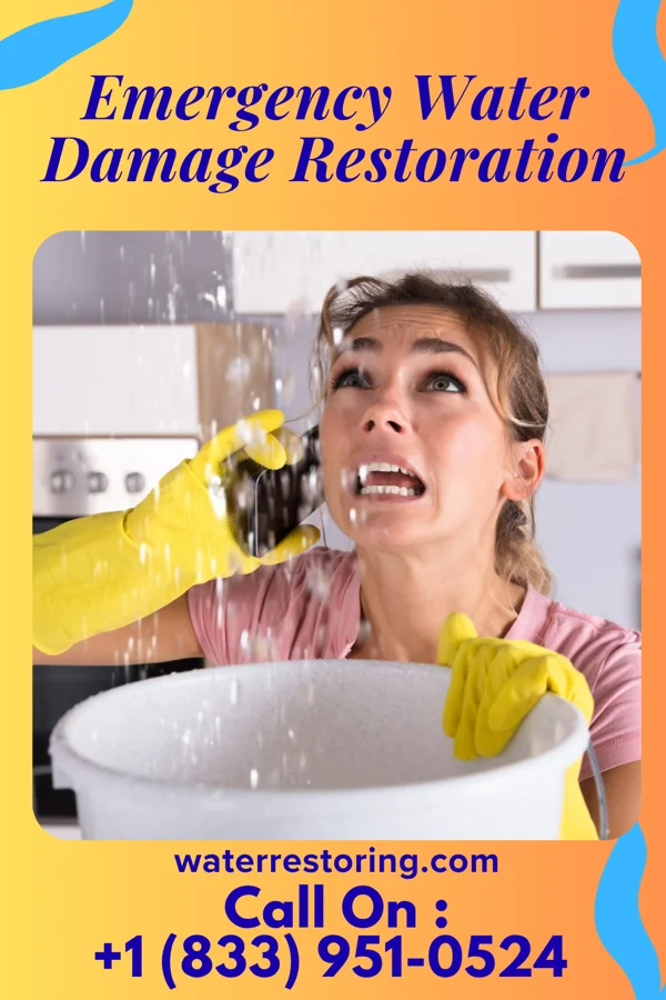 Emergency Water Damage Restoration in Logan, MT