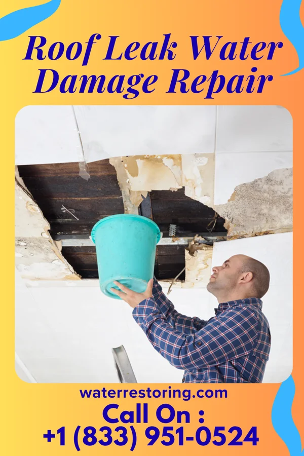 Roof Leak Water Damage Repair in Logan, MT